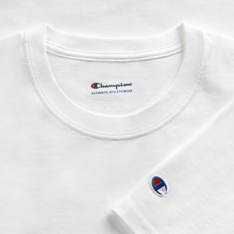 Golden Retriever's Venice Voyage