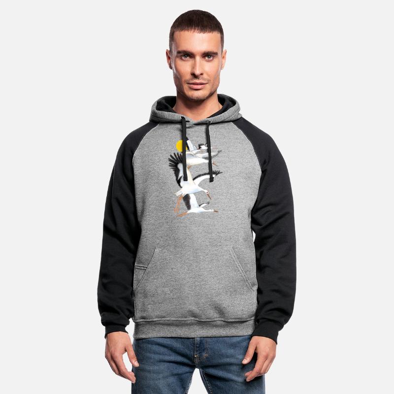 A Flock of White Storks Flying over the Sun