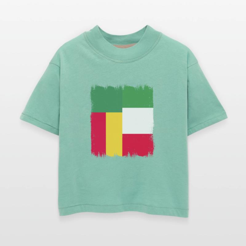 Benin Flag History Benin Culture Porto-Novo