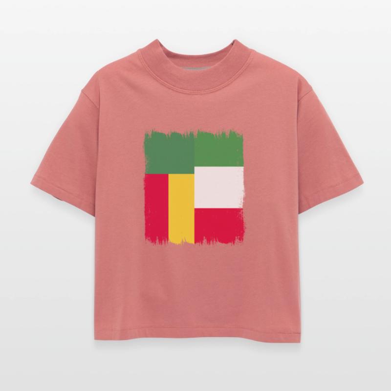 Benin Flag History Benin Culture Porto-Novo