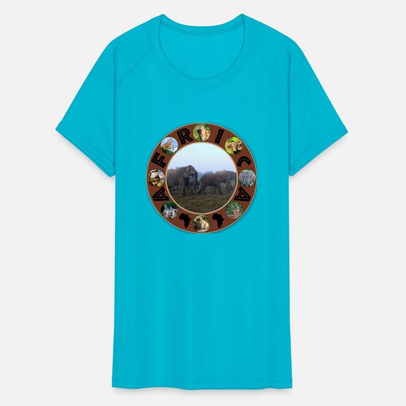 Elephant Herd Mist Africa Circle