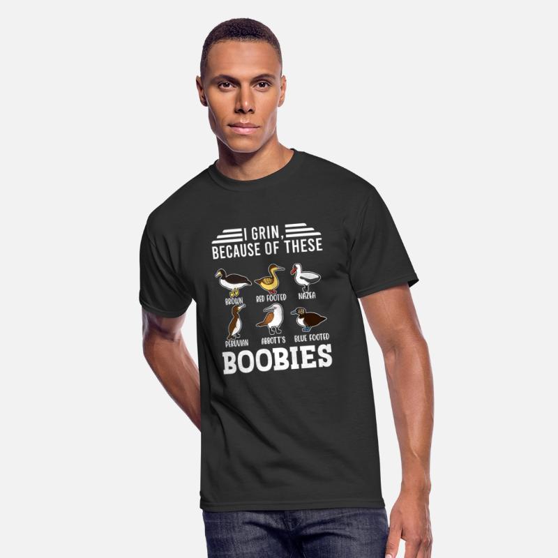 Funny Booby Seabirds Collection