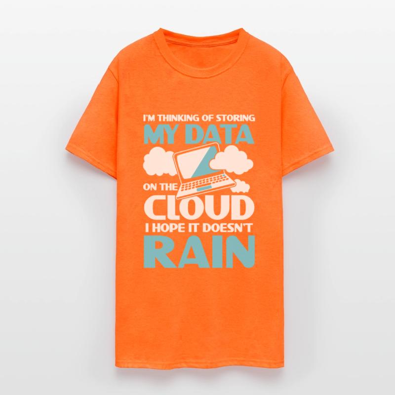 I'm Thinking Of Storing My Data On The Cloud