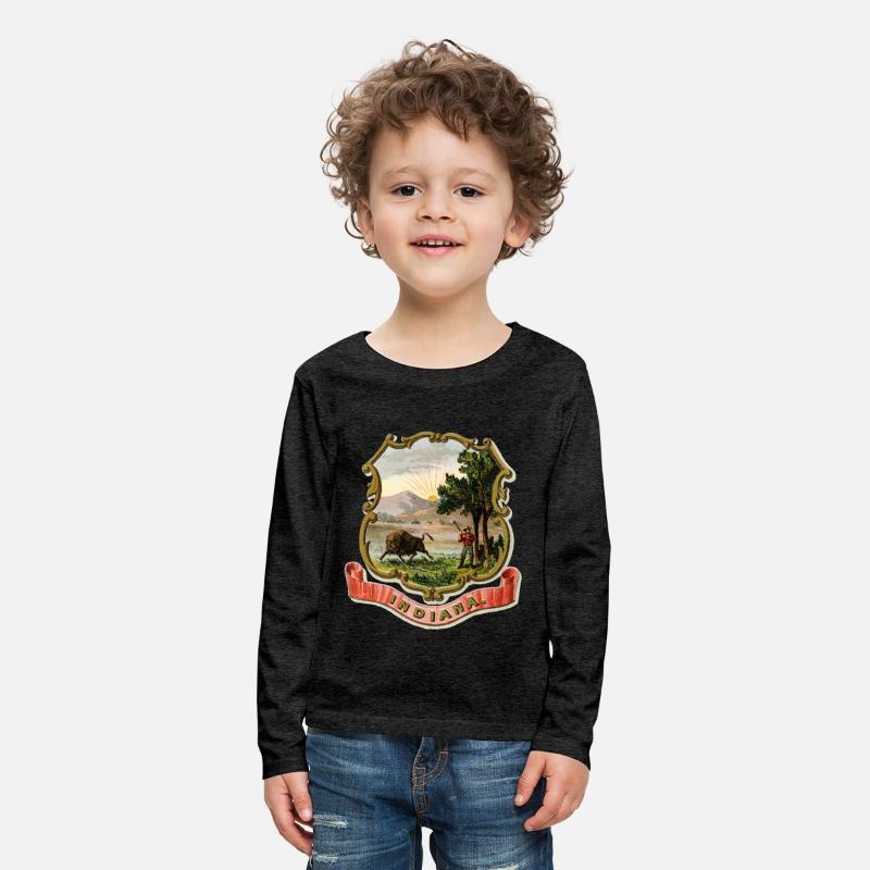 Indiana state coat of arms illustrated 1876