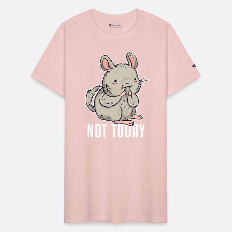 Not Today Chinchillidae Short-Tailed Long-Tailed