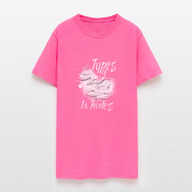 Types of Whales Whale Lovers Whales Species