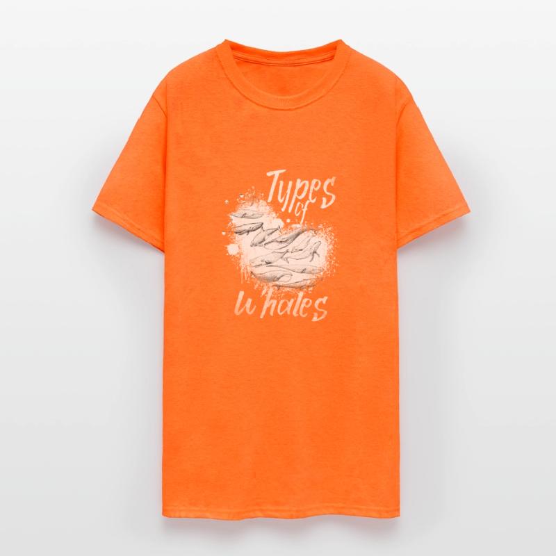 Types of Whales Whale Lovers Whales Species