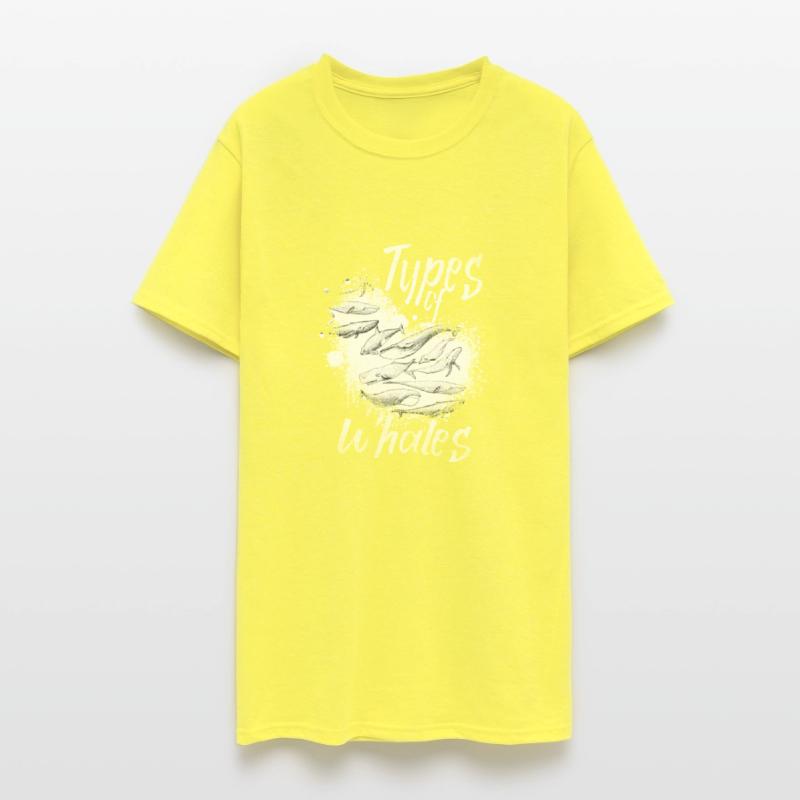 Types of Whales Whale Lovers Whales Species